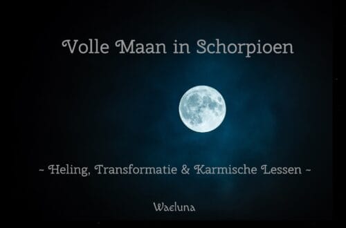 VoMaSchor